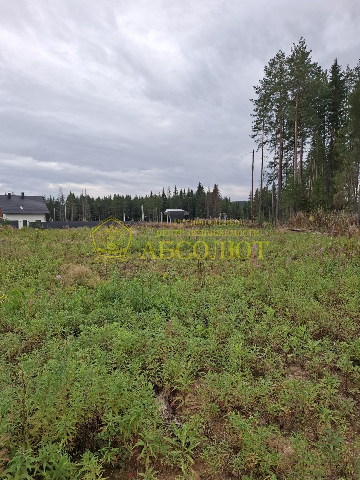 Земельный участок — фото 3
