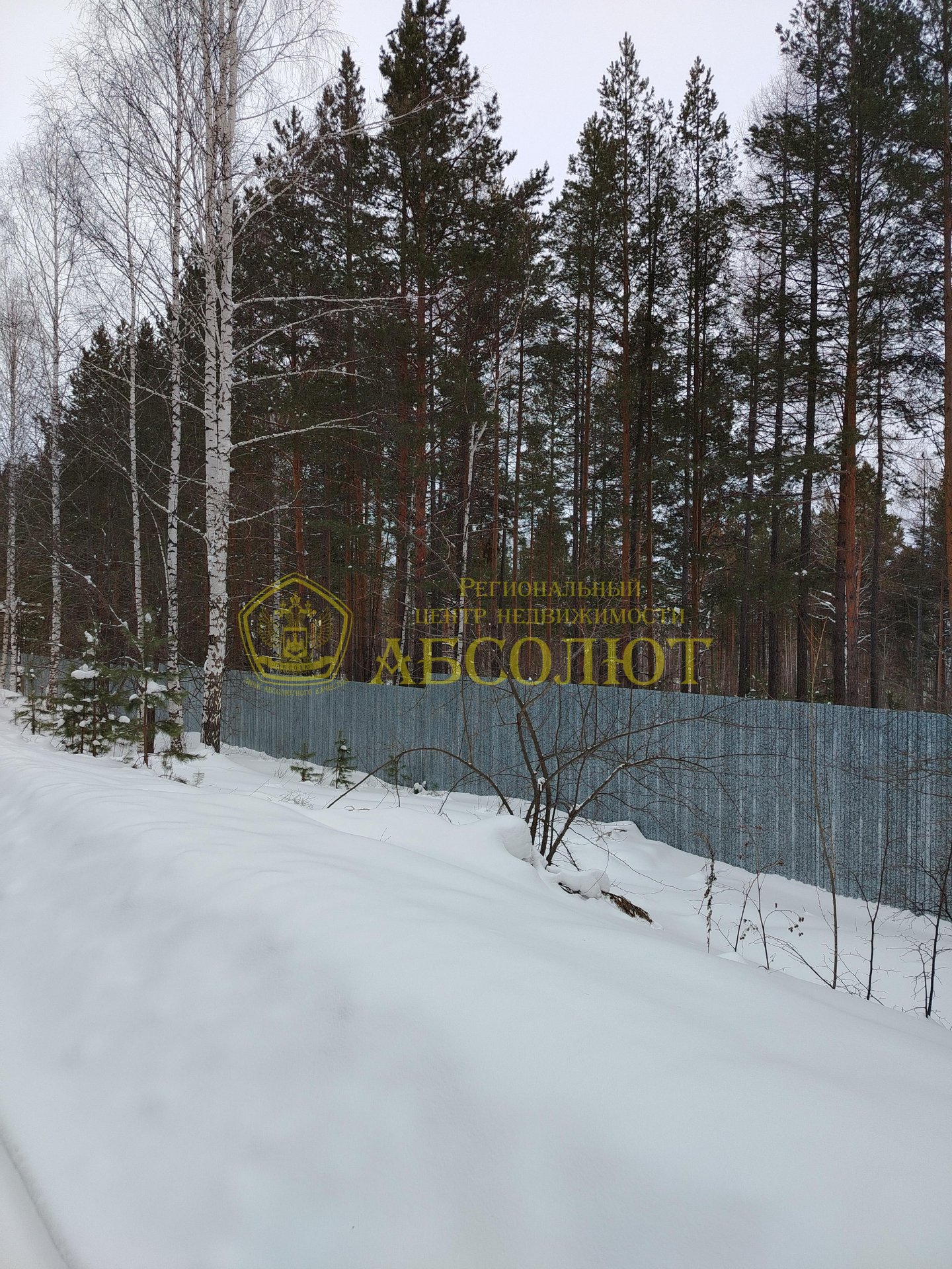 Земельный участок — фото 3
