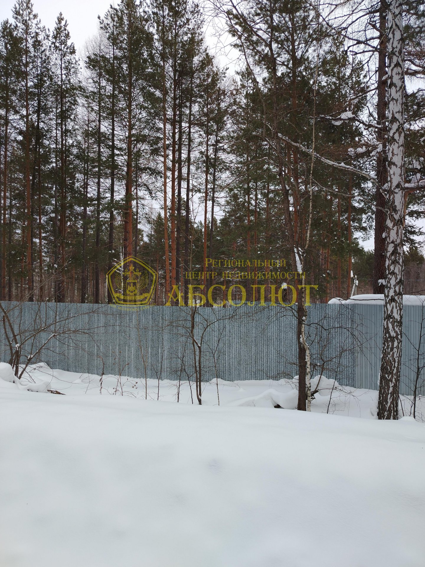 Земельный участок — фото 2