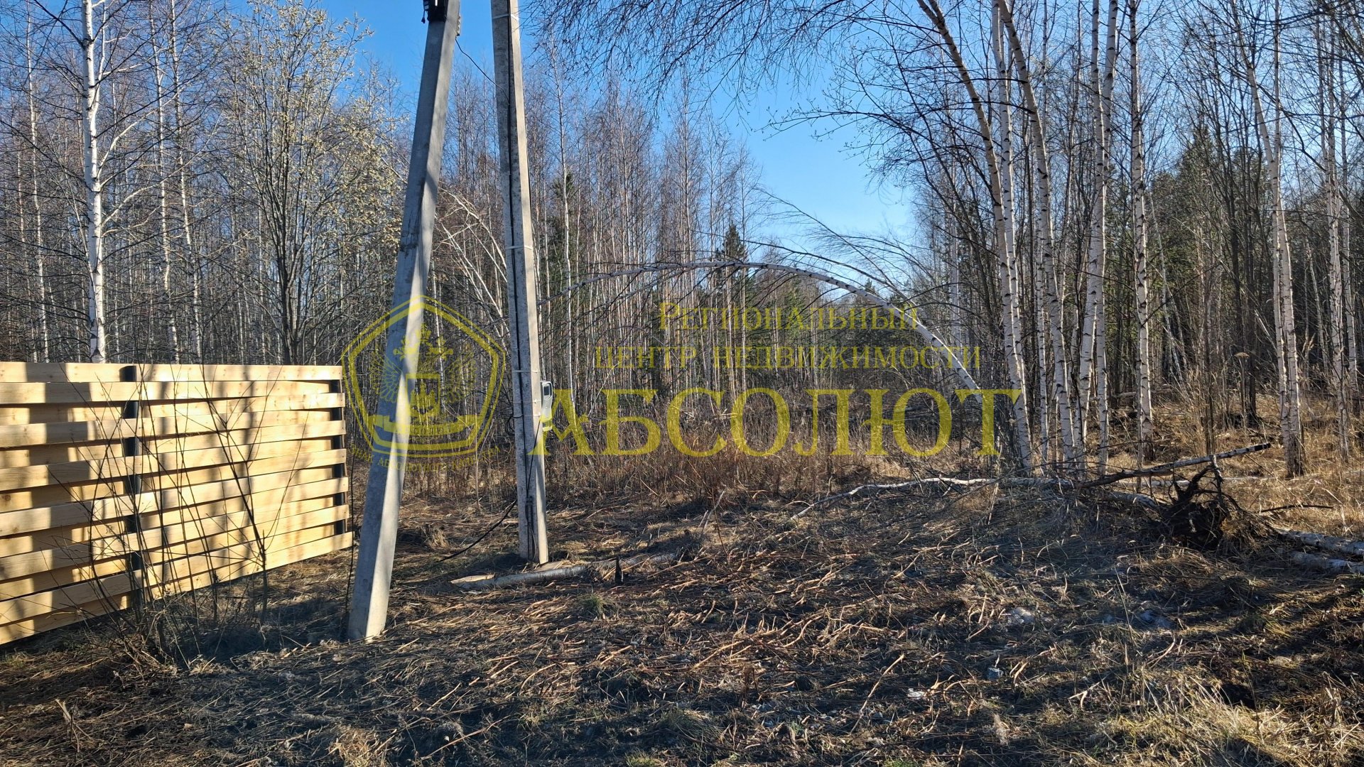 Земельный участок — фото 5