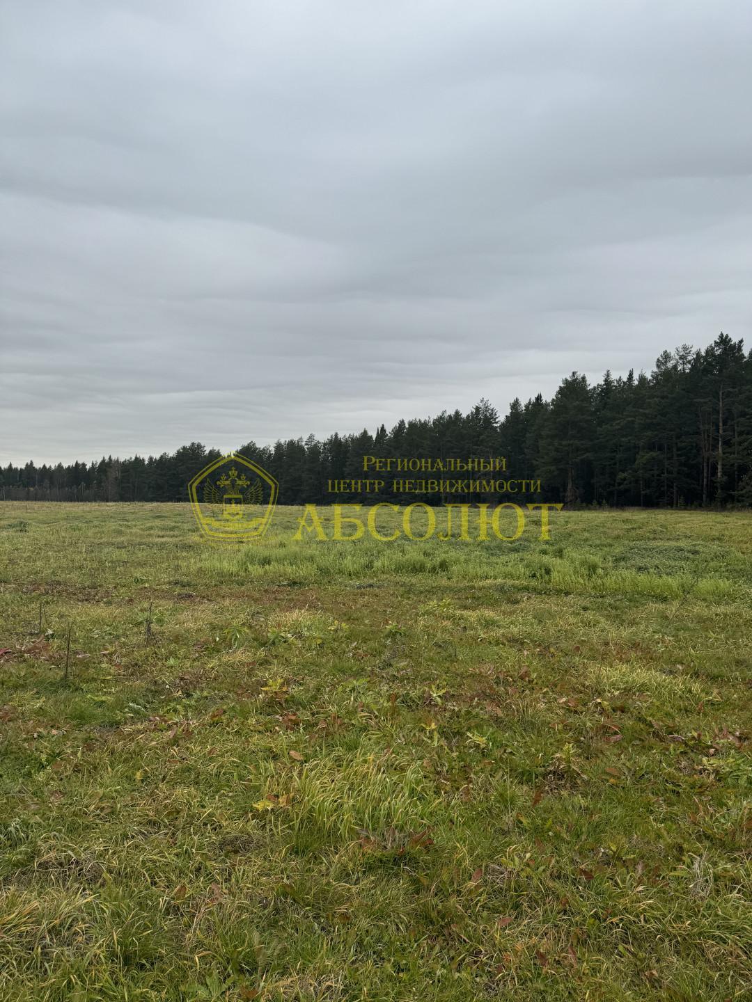 Коммерческая недвижимость, 400.0 м² — фото 4