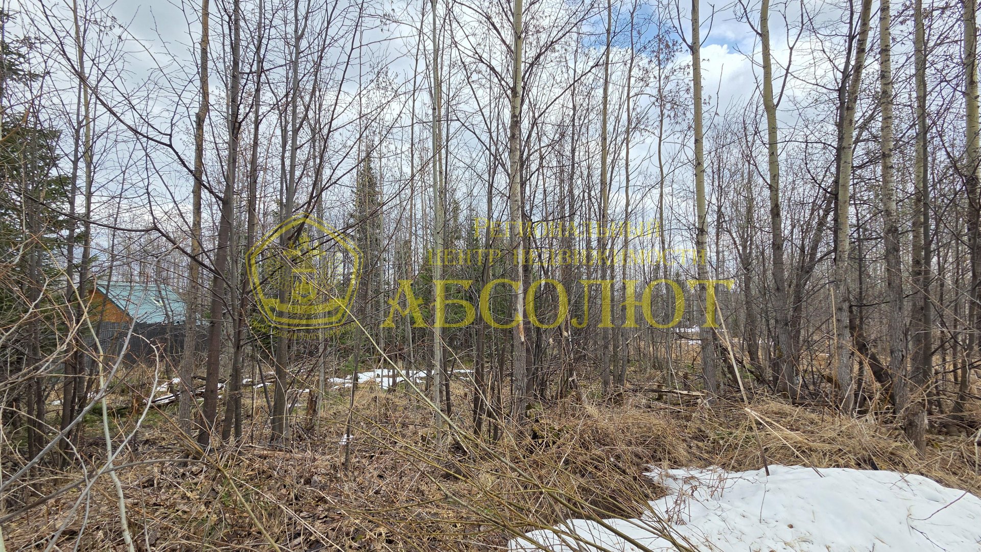 Садовый участок — фото 14