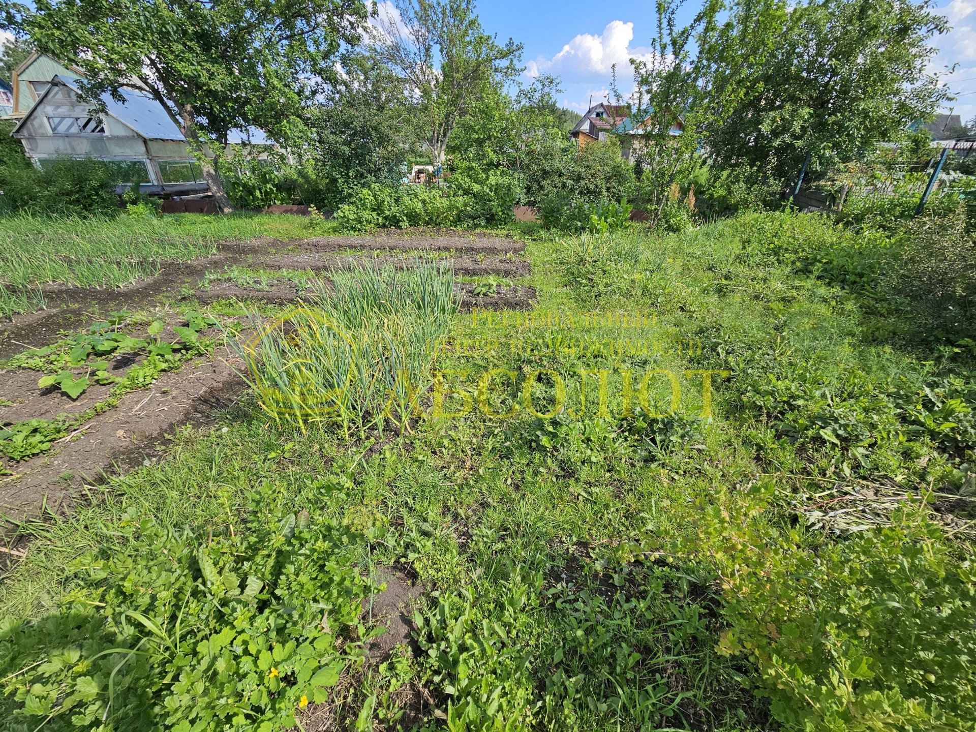 Садовый участок, 22.0 м² — фото 13
