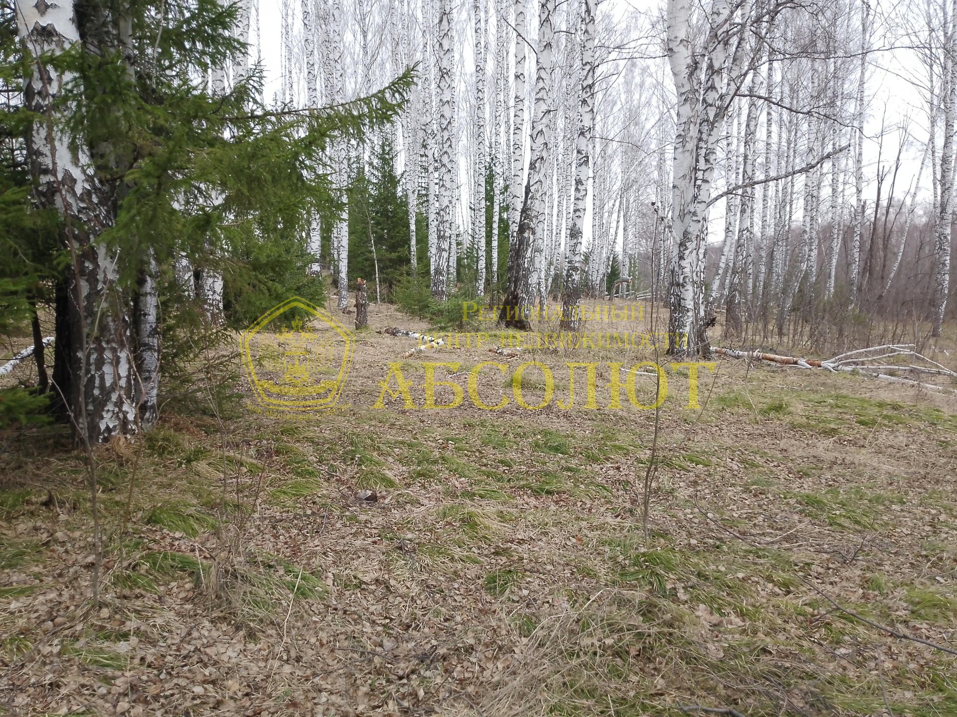 Земельный участок — фото 3