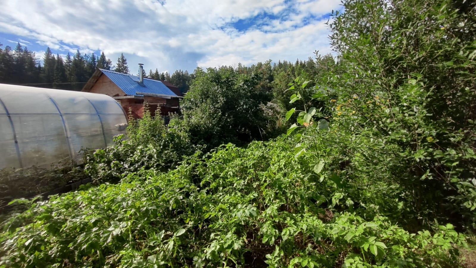 Садовый участок, 20.0 м² — фото 2
