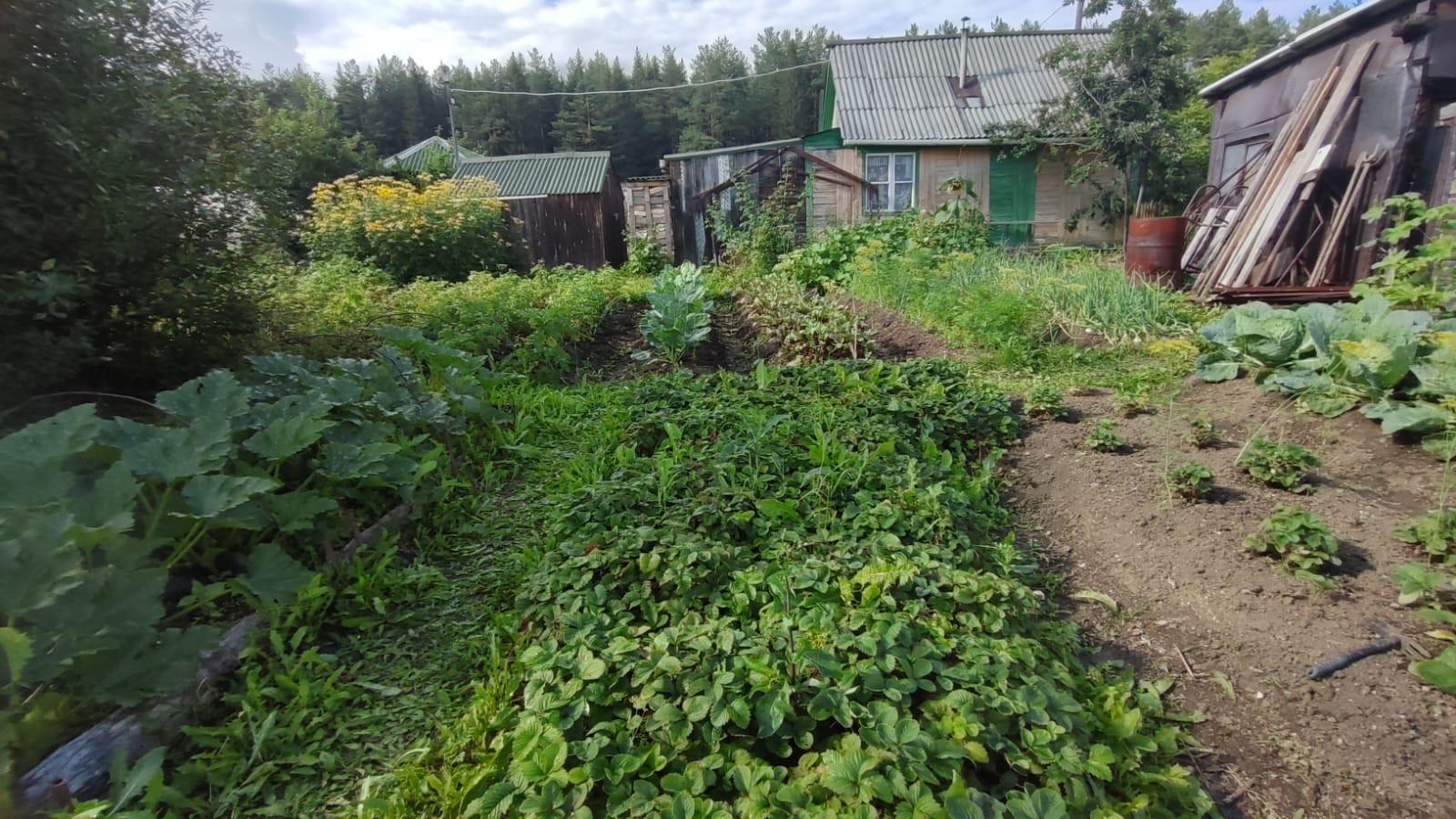 Садовый участок, 20.0 м² — фото 5
