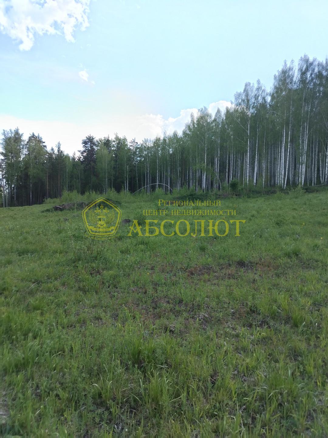 Земельный участок — фото 3