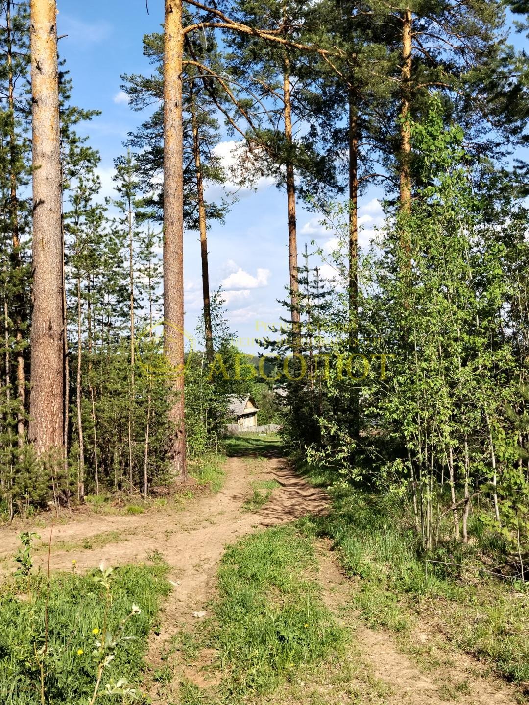Земельный участок — фото 7