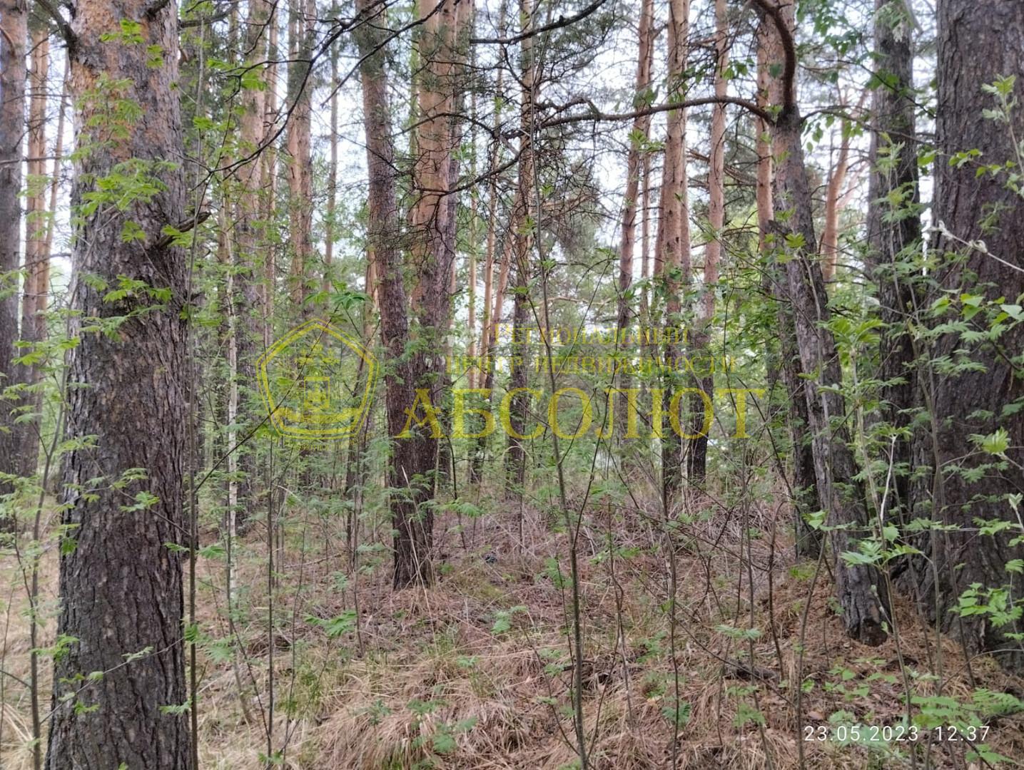 Земельный участок — фото 1