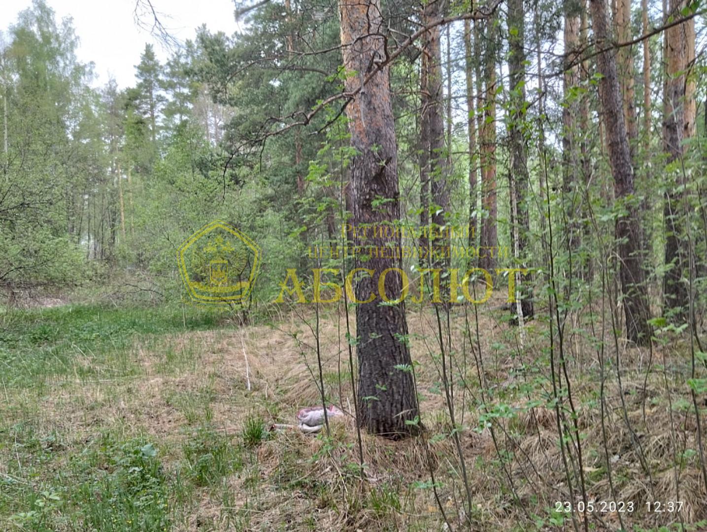 Земельный участок — фото 3
