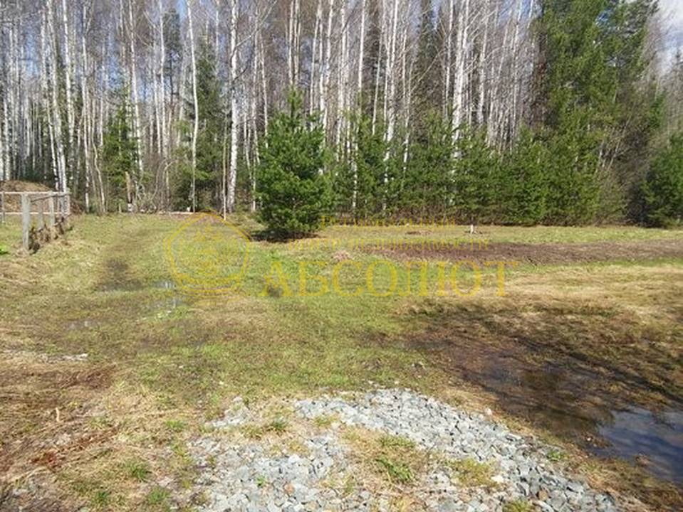 СОТ Заря-5 Региональный центр недвижимости АБСОЛЮТ 194706