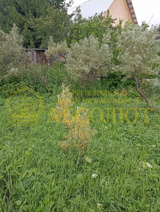 СОТ Восток Региональный центр недвижимости АБСОЛЮТ 171581