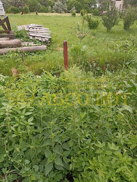 80010354 5