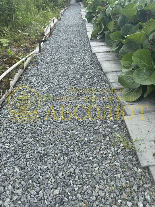 80010359 03