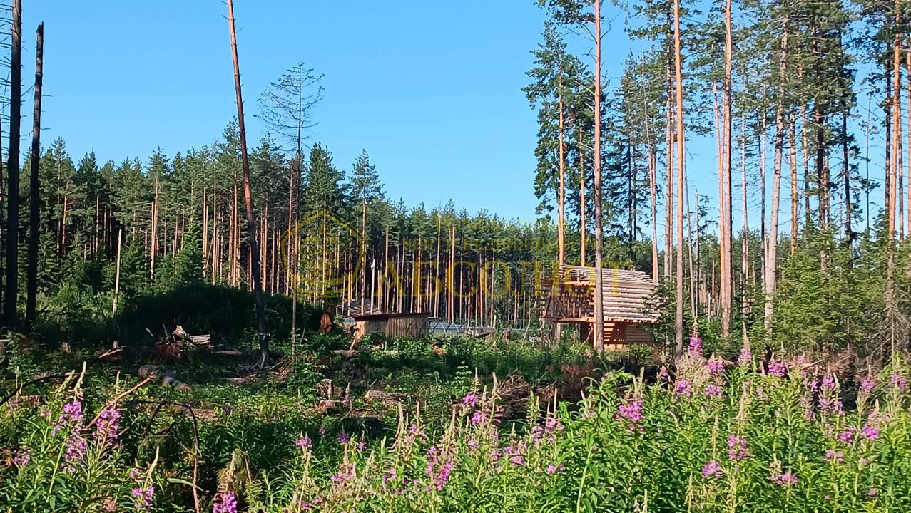 Самолётная, 32 Региональный центр недвижимости АБСОЛЮТ 189109