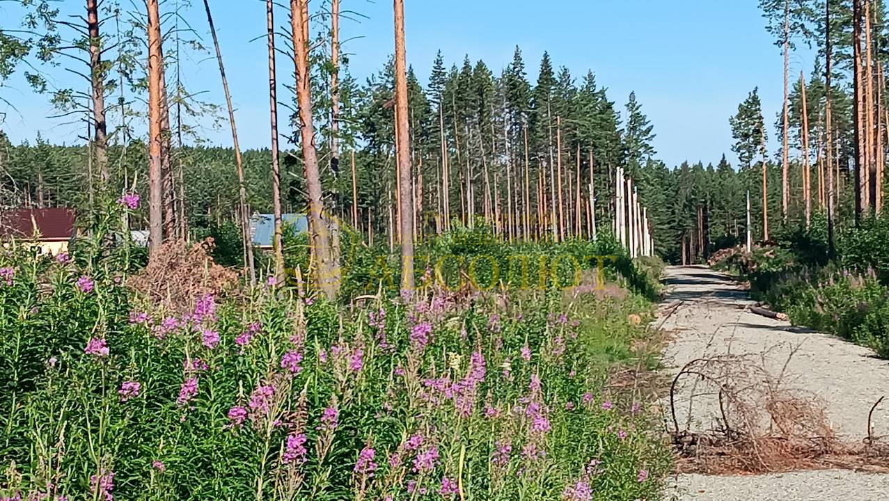 80010374 13