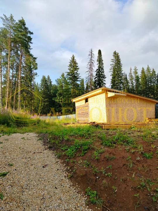 80010387 5