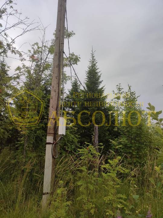 80010389 1