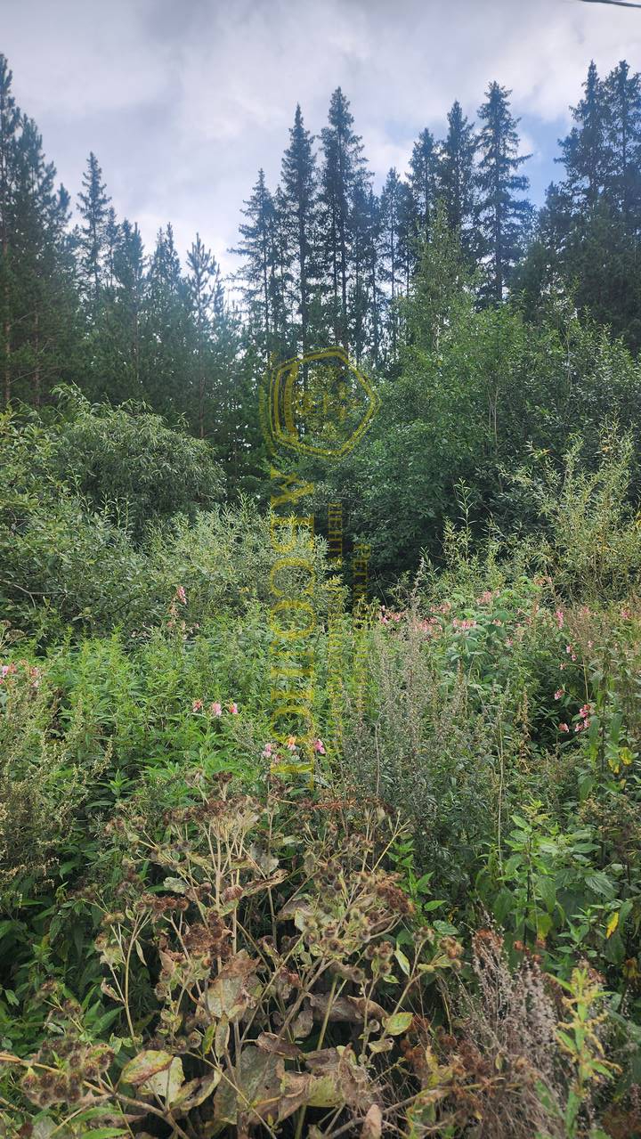 80010430 5
