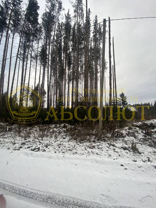 Высотная, 9 Региональный центр недвижимости АБСОЛЮТ 193306