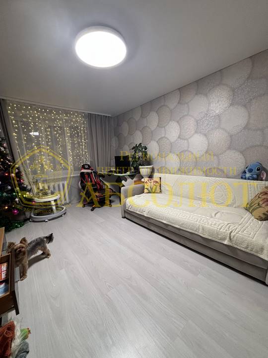 М.Горького, 47 Региональный центр недвижимости АБСОЛЮТ 183930