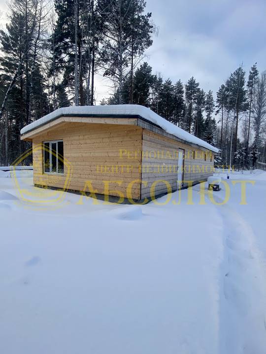 Шумиха, 1583 Региональный центр недвижимости АБСОЛЮТ 194234