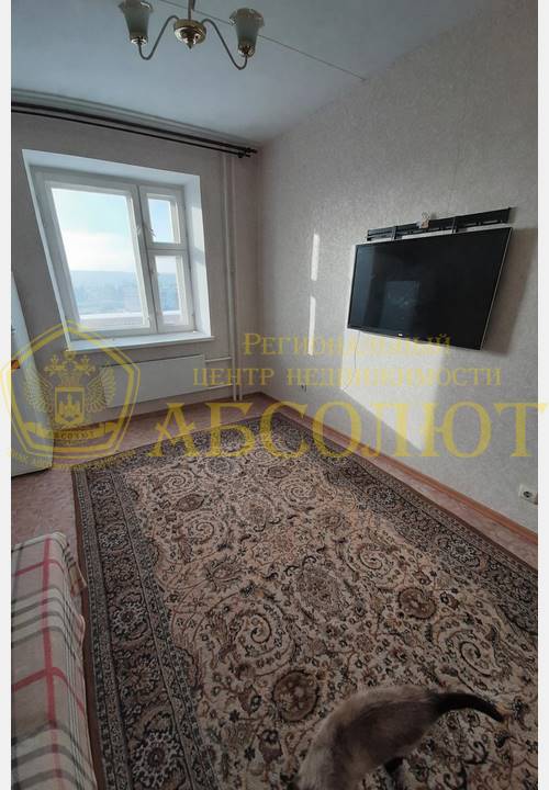 Интернационалистов, 38 Региональный центр недвижимости АБСОЛЮТ 194327