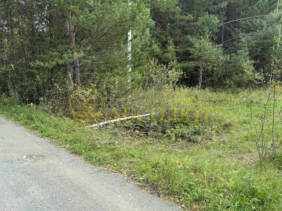 Петровские дачи, 3088 Региональный центр недвижимости АБСОЛЮТ 195133