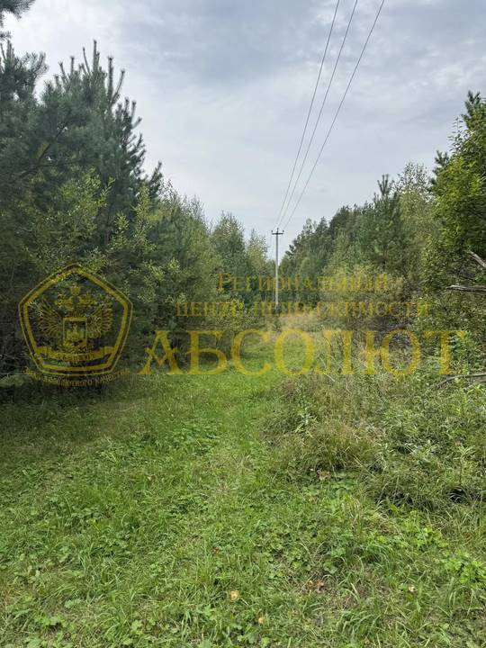 Петровские дачи, 3337 Региональный центр недвижимости АБСОЛЮТ 195133