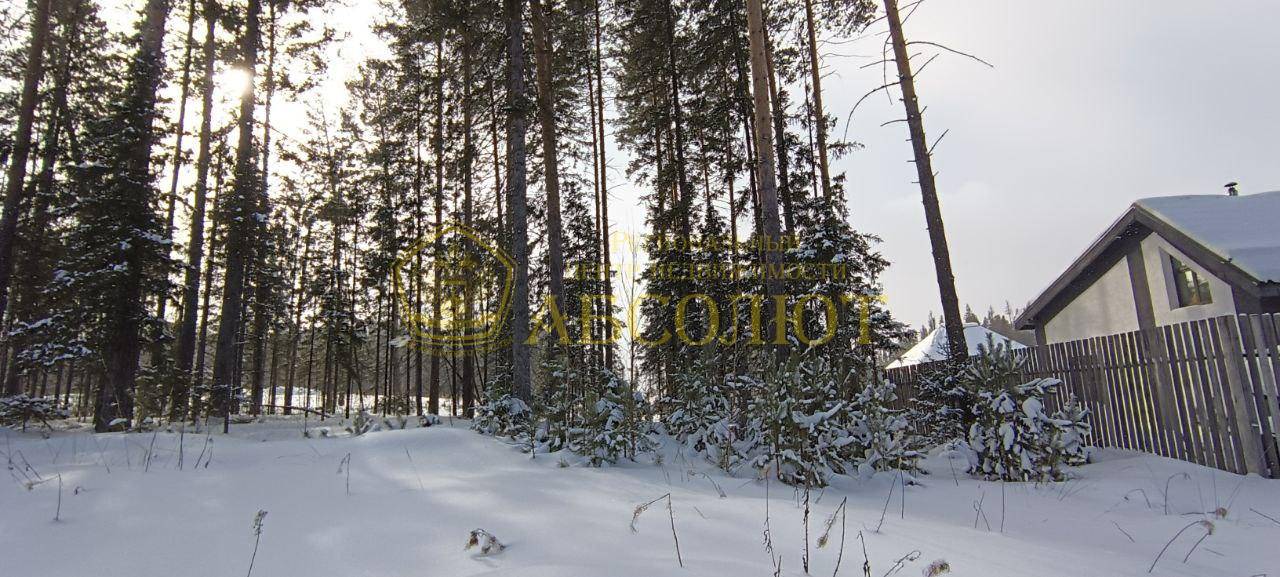 Лесная, 50 Региональный центр недвижимости АБСОЛЮТ 195133