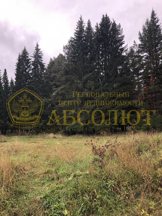 Уральские Зори, 25 Региональный центр недвижимости АБСОЛЮТ 195915