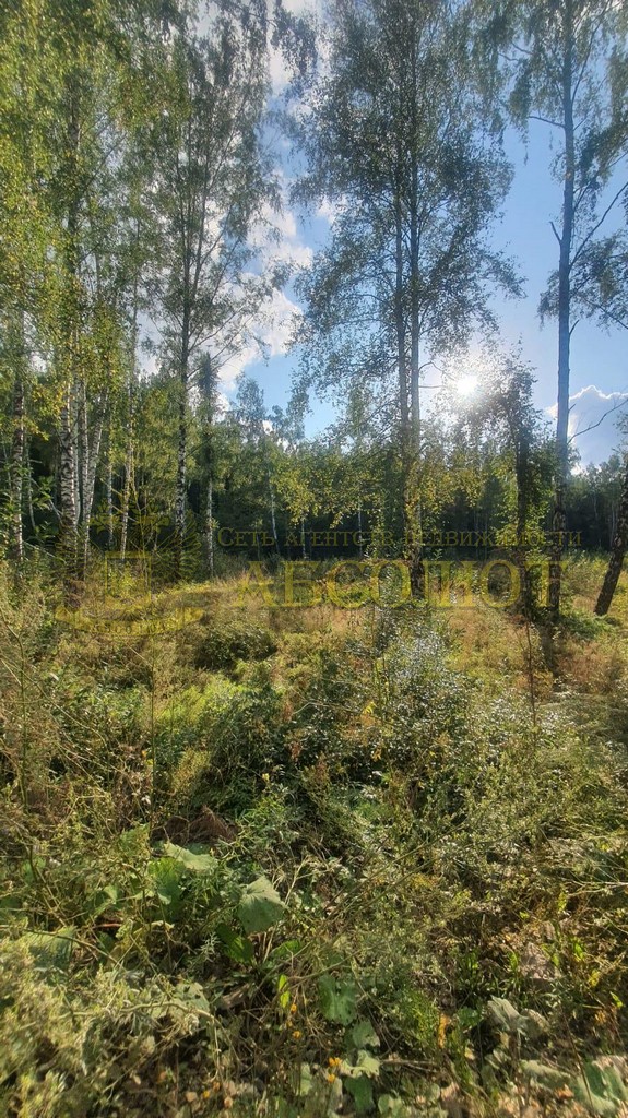 Луговая Региональный центр недвижимости АБСОЛЮТ 192757