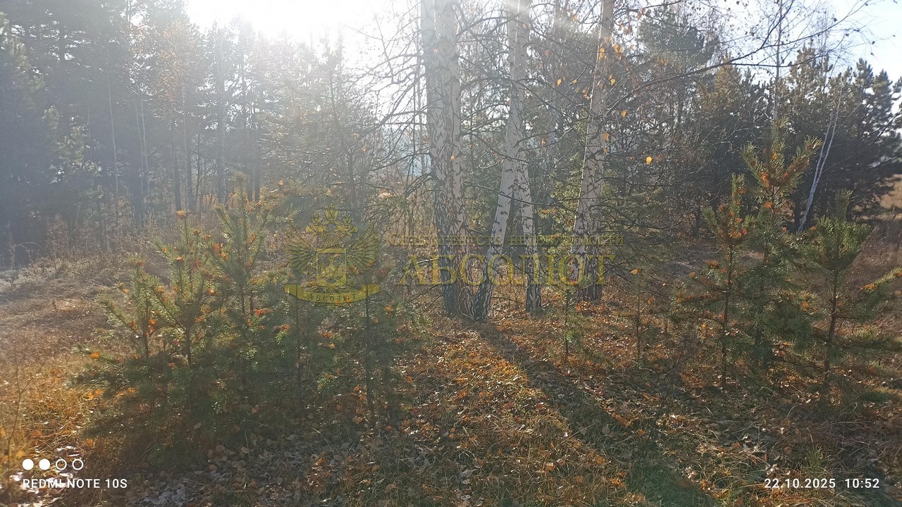 Садовая Региональный центр недвижимости АБСОЛЮТ 193277